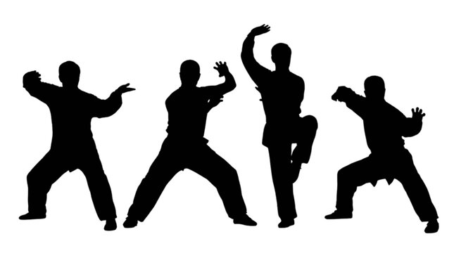 Black silhouettes of people practicing martial arts isolated on transparent background, Vector