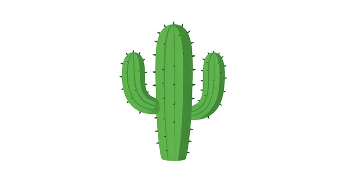 green, cactus, plant, succulent, desert, nature, botanical, prickly, tropical, arid, vector, illustration, isolated, ecology, flora, thorn, xerophyte