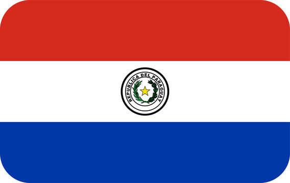 Paraguay National Flag with Emblem Illustration