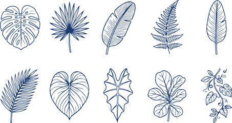 Variety of exotic tropical leaf illustrations in blue line art including monstera fern palm and fig leaves. © Sadhin