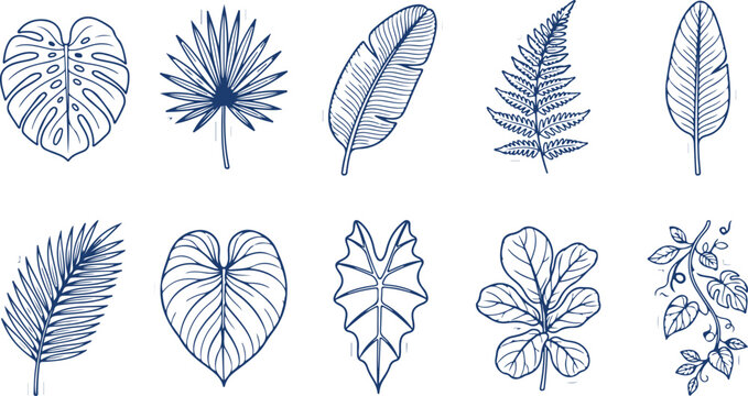 Variety of exotic tropical leaf illustrations in blue line art including monstera fern palm and fig leaves.