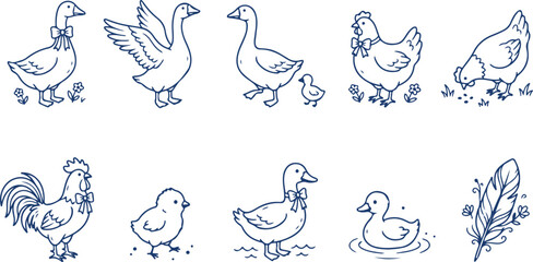 Farm animals collection, cute cartoon style ducks geese and chickens, line art for children. © Sadhin