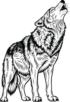 Wolf howling at the moon alone.