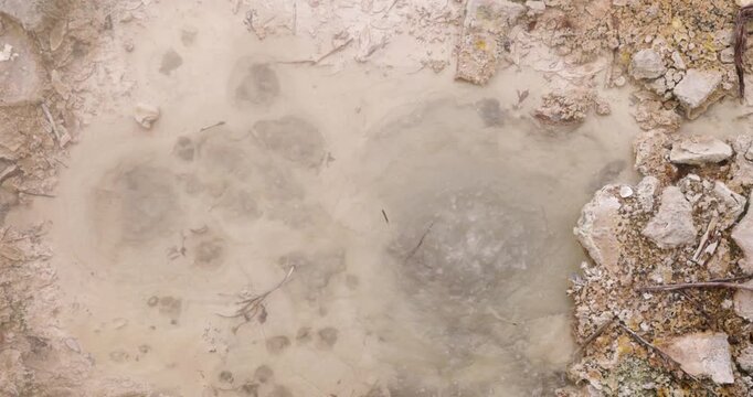 Volcanic pit with mud and boiling water with steam rising to the surface in a pond at Furnas, Azores.