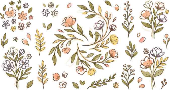 Hand Drawn Floral Botanical Illustration Collection with Wildflowers, Leaves, Blooming Branches, and Elegant Vintage Nature Design Elements
