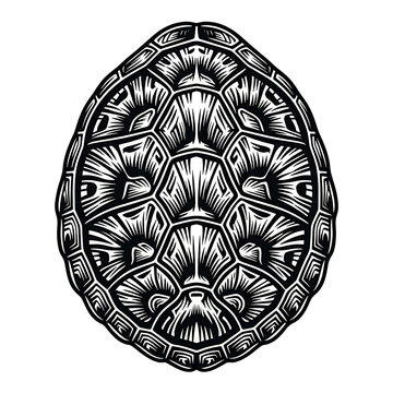 Detailed vector illustration of a sea turtle shell pattern in line art