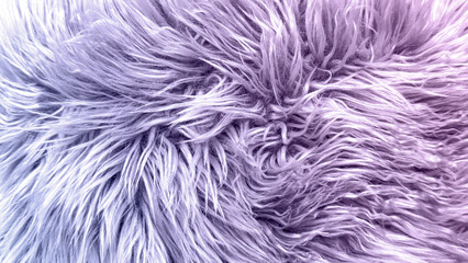 Fototapeta premium Fashion Fur background with Lavender Faux Fur Texture Backdrop in Close Up, for Fashion Campaigns, Beauty Ads, Winter Styling, Cozy Home Decor, Glam Editorials, and Luxury Texture Backgrounds
