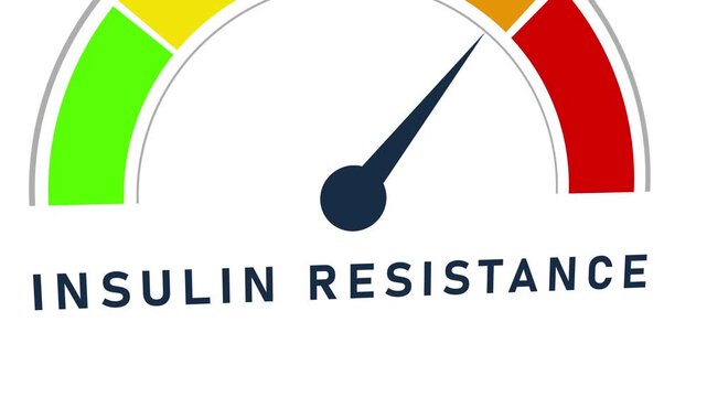 Insulin resistance level indicator gauge with needle pointing towards the red zone indicating a or critical level on a white background Keywords: insulin resistance, indicator, gauge