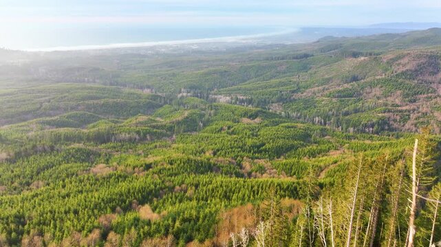 Seaside Oregon Coastline Beyond Regrowing Timber Forest Hills