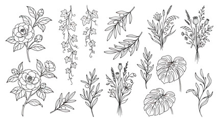 Vintage botanical line art collection, hand drawn floral sketches and leaves, black ink wildflower vector set for wedding invitations © Tayba
