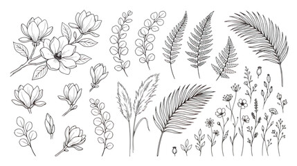 Hand drawn botanical line art collection, floral sketches with magnolia flowers and palm leaves, minimalist black ink garden foliage vector set © Tayba