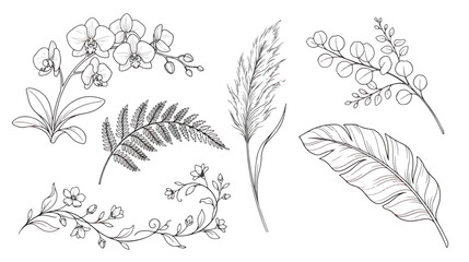 Minimalist botanical line art collection, hand drawn tropical leaves and orchid flowers, 6 floral vector elements for wedding invitations and branding © Tayba