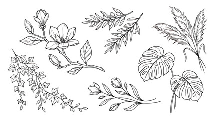 Hand drawn botanical line art collection, floral sketches with magnolia and monstera leaves, black ink vector set of 6 garden plants for wedding stationery © Tayba