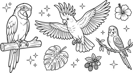 Tropical Parrot and Cockatoo Bird Vector Line Art Illustration Set for Coloring Pages with Hibiscus and Monstera Leaves © MdAungur