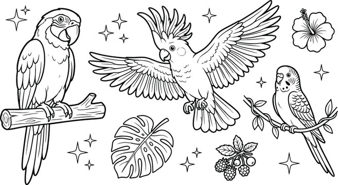 Tropical Parrot and Cockatoo Bird Vector Line Art Illustration Set for Coloring Pages with Hibiscus and Monstera Leaves
