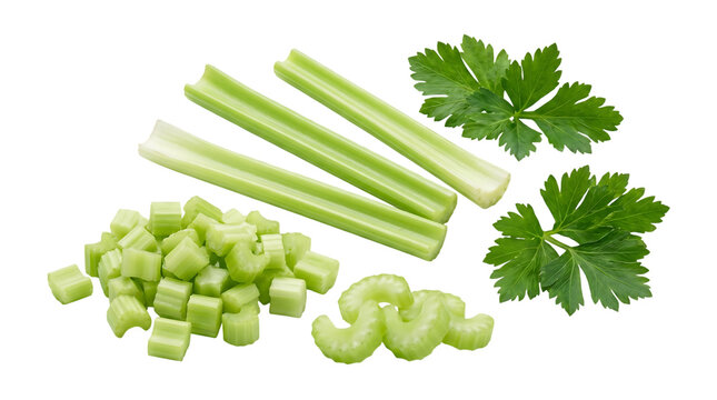 Fresh celery stalks and chopped pieces isolated on transparent background