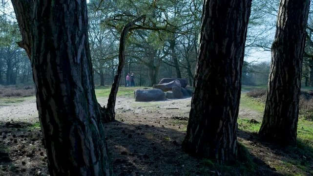Dutch megalithic hunebed dolmen emerging from behind trees in drenthe