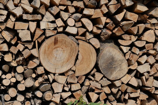 Holzsto&szlig;