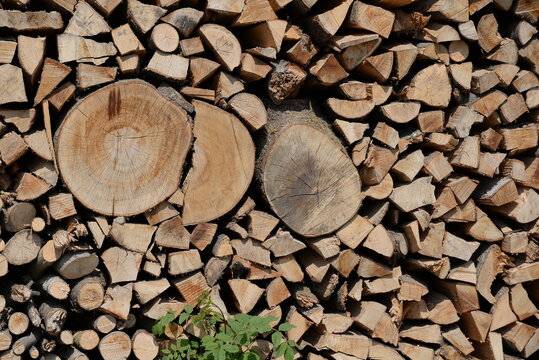 Holzsto&szlig;