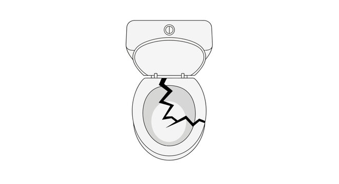 Cracked toilet bowl and seat.