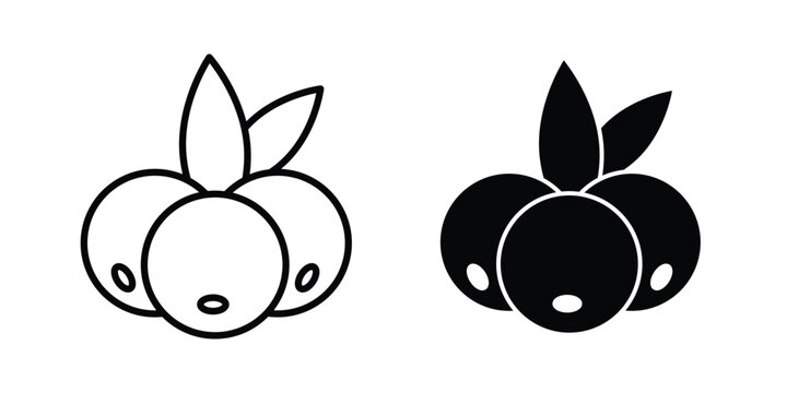 Berry icon concept. solid and line symbols