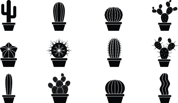 Cactus Clipart" Images  Browse 3,179 Stock Photos, Vectors, and Video |  Adobe Stock