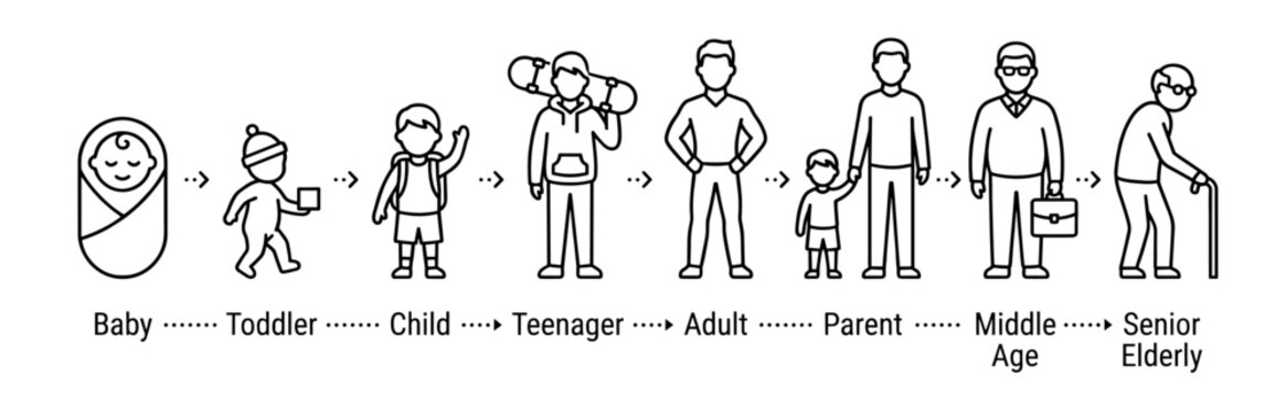 Professional vector icon set illustrating human growth and aging stages from infancy to old age. Modern family and parenting concept designed for International Day of Parents campaigns