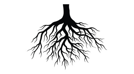 tree root silhouette against white background © Tasnim Studio