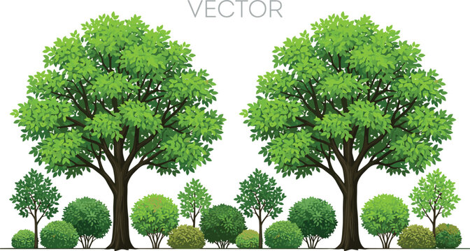 Realistic Green Tree Vector Set with Dense Shrub Borders and Multi Layered Garden Bushes for Park Landscape Planning and Architectural Backdrop Designs
