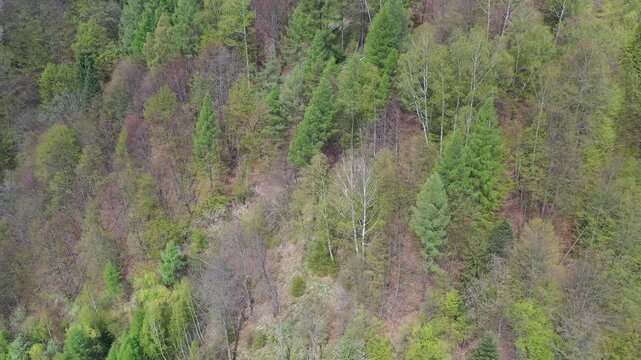 Dolina Popradu, wiosna, widok z powietrza.