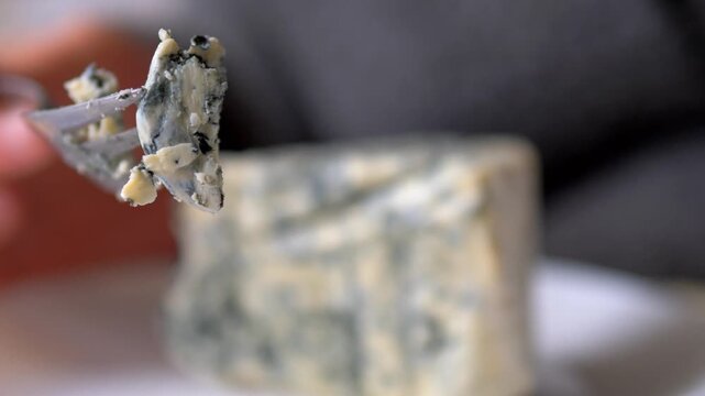 Gourmet Blue Cheese Crumble on Fork &mdash; Tasting Artisan Roquefort or Stilton Cheese Close-up