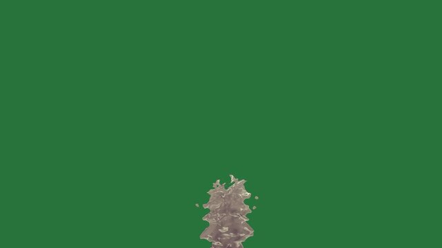 Flying Bird Border Water Animated Green Screen Chroma Key Video Overlay for Cartoon Wildlife Clips Educational Videos Social Media Posts and Creative Editing Projects