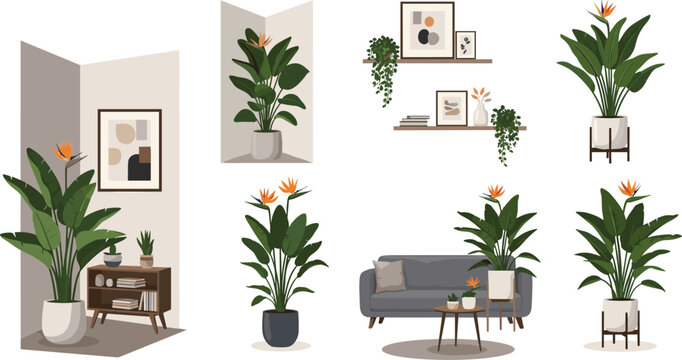 Bird of paradise plant interior decor vector set with tropical potted houseplants furniture shelves and abstract frames