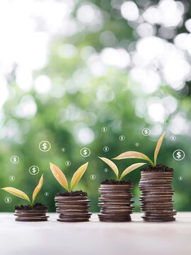 Plants growing up on stack of coins and dollar coin icons. The concept of saving money, Financial, Investment and Business growing.