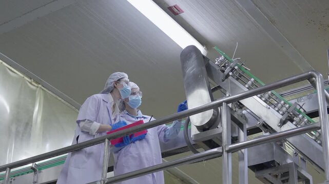 Food factory automated production line, Laboratory worker food processing industrial equipment stainless steel production line safety mask protective clothing quality control factory interior