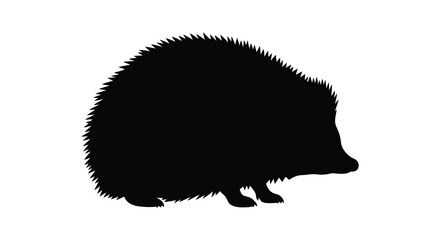 Hedgehog silhouette against a white background © SAKINA