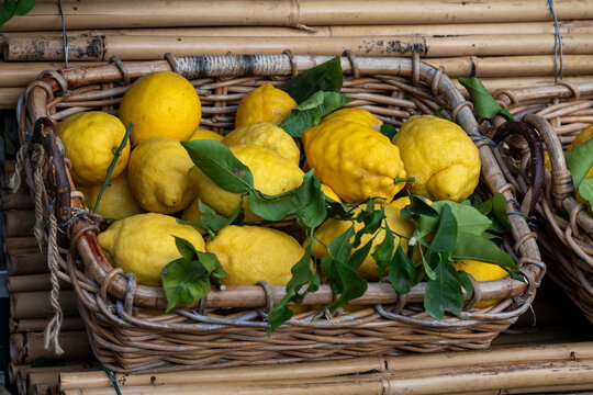 Fresh Sorrento lemons with green leaves in a wicker basket. Close-up of traditional Italian yellow citrus fruits from Amalfi Coast, ideal for Limoncello. Organic food and travel concept.