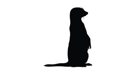 Meerkat standing upright in silhouette © SAKINA