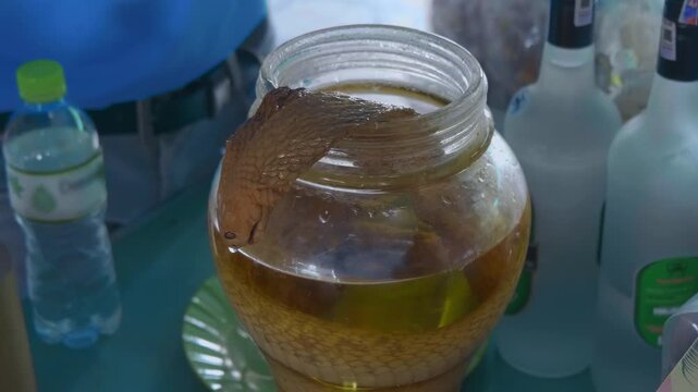 A jar of yellow snake wine &ndash; traditional Vietnamese Chinese alcoholic tincture beverage produced by steeping a whole venomous snake cobra in rice wine or grain alcohol for several months being opened 