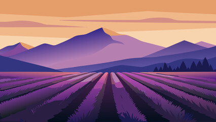 Lavender Flower Field Mountain Sunset Landscape Vector Illustration  © Chamok Chandra