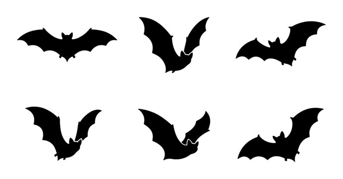 Six Black Bat Silhouettes, Flying Halloween Icons, Nocturnal Animal Vector Graphics for Spooky Season Design