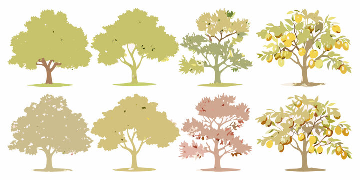 watercolor trees depicting seasonal changes isolated on white