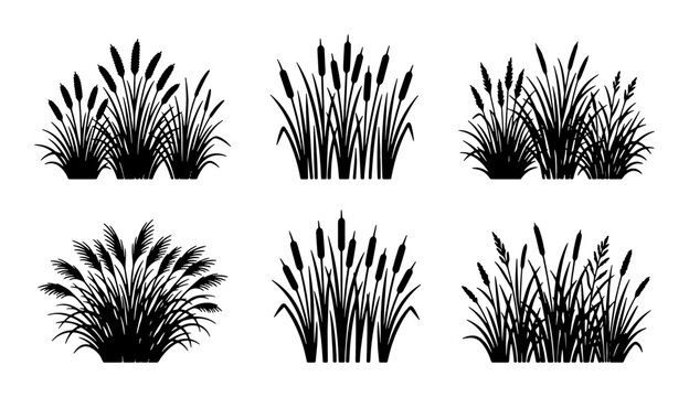 Black Silhouette Wetland Plants Vector Set, Cattails and Reeds Collection, Marsh Grass Illustrations for Nature Designs