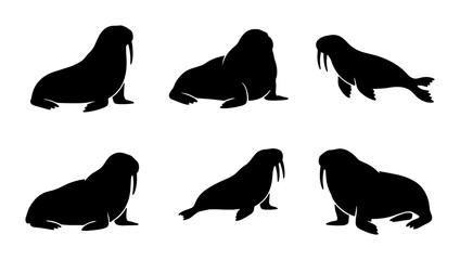 Six Black Silhouette Walrus Poses, Arctic Marine Mammal Vector Icons, Ocean Wildlife Graphics for Design © Kamruz