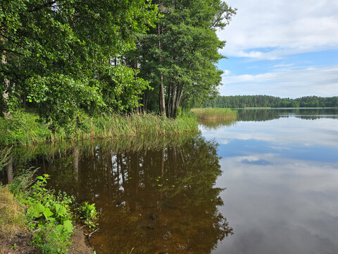 Scenic view of Lake Kasmu in Estonia with lush green forest trees perfectly reflecting in the calm water surface under a blue sky with white clouds on a peaceful summer day