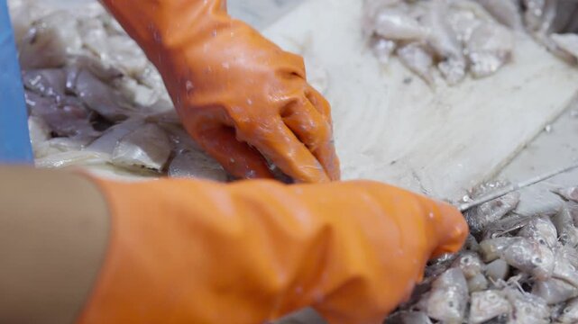 Food factory automated production line, Orange glove hand sorting fish on wet table at seafood market, cutting filet white fish fresh at market, knife cutting board seafood hand raw processing food