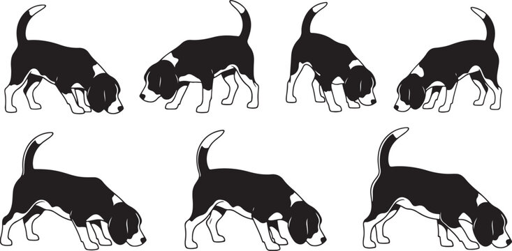 Silhouette beagle dogs sniffing ground on checkered background vector illustration graphic.