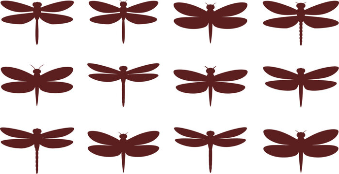 Dragonfly silhouettes flat icon set representing delicate flying insects with transparent wings for wildlife nature design elements isolated vector