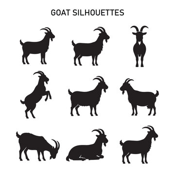 PrintGoat Silhouette Icon Set &ndash; 9 Black Qurban Goat Poses for Eid al-Adha (Islamic Sacrifice Animal Collection)