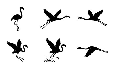Fototapeta premium Flamingo Silhouette Set: Standing, Landing, and Flying Vector Icons for Tropical Wildlife and Nature Designs